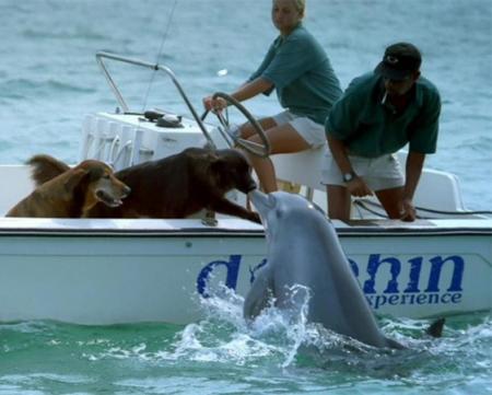 Un petit bisou au passage !